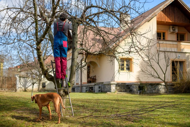 Winter Tree Trimming