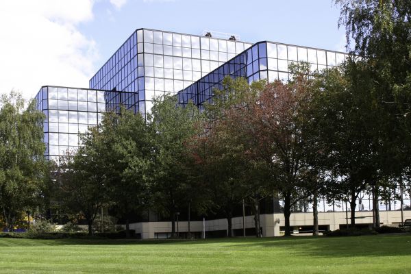 Commercial Tree Trimming in Frederick
